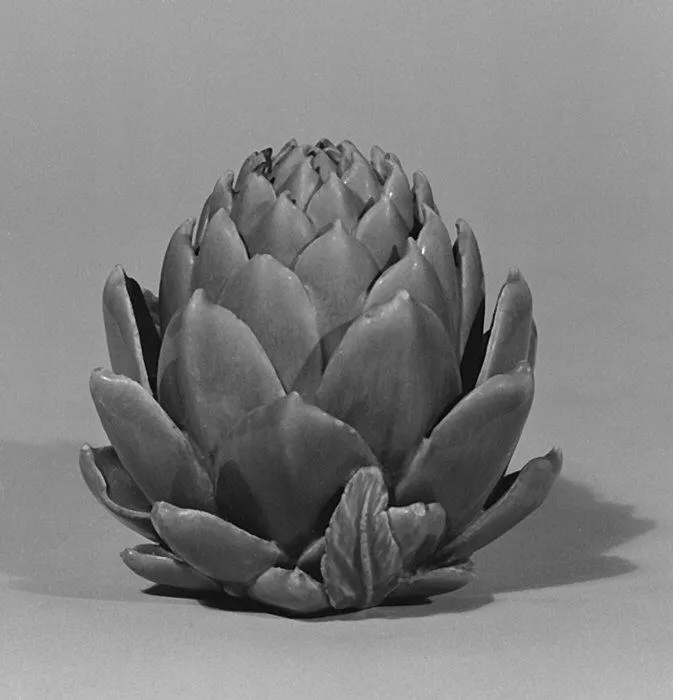A black-and-white photograph of an artichoke